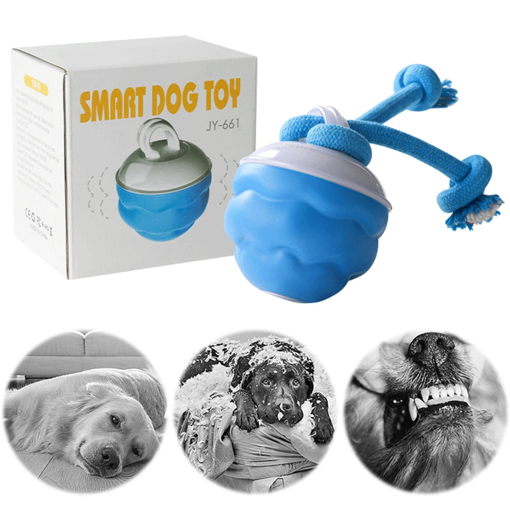 Juguete interactivo para perros con activación por movimiento