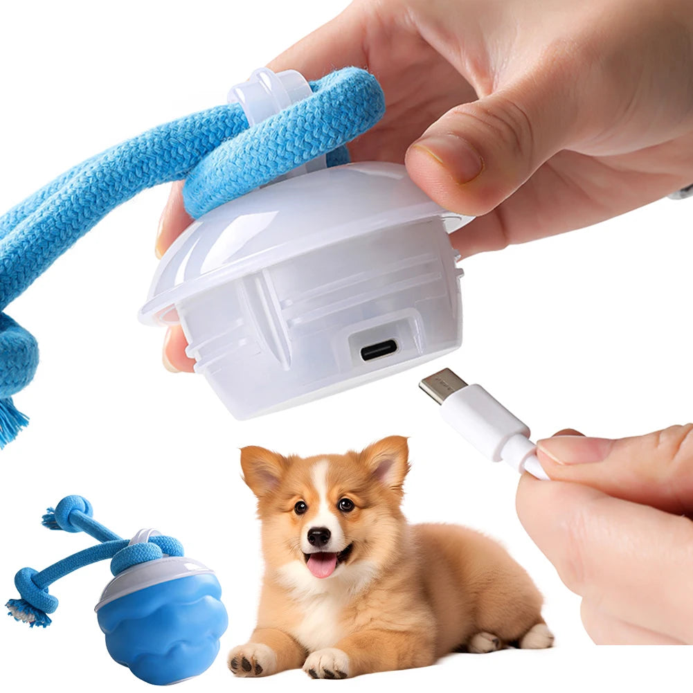 Juguete interactivo para perros con activación por movimiento