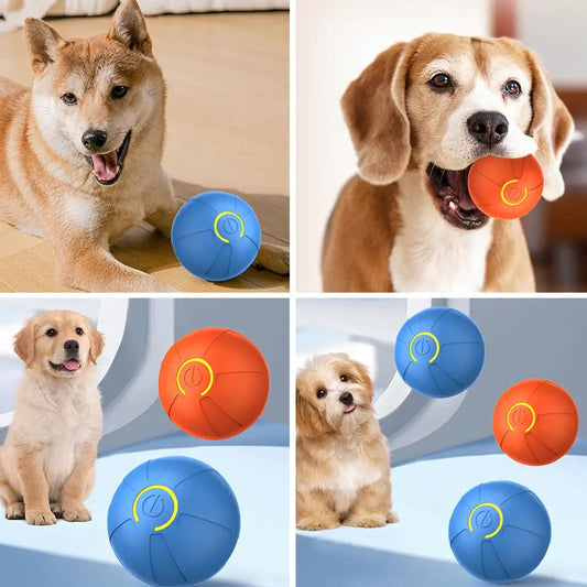 Automatic Jumping Ball for Pet Dog
